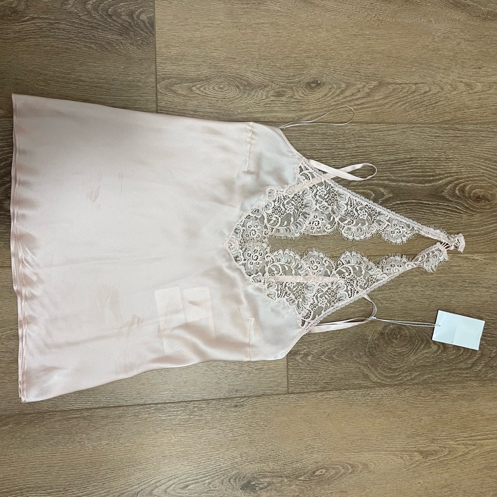 Stella McCartney Blush Lace Satin Chemise